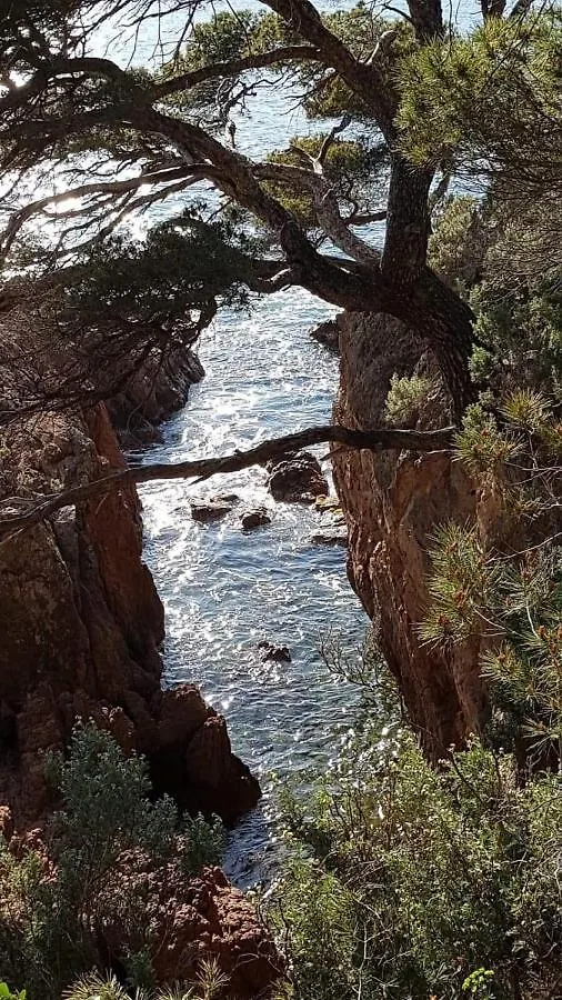 Saint Raphael, Cap Esterel Le Hameau. Vue Mer Apartment Saint-Raphael (Var)